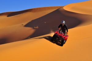 What to Do in Jaisalmer Desert: Must-Try Experiences