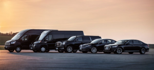 Meets Exceptional Service: Discover White Sands Transportation in the Heart of the Lowcountry