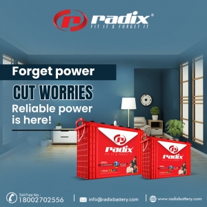 Radix – Reliable Inverter Battery Manufacturer in Meerut
