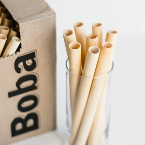 The Straw Revolution: Exploring the “Cub with a Straw” Craze and the Future of Sustainable Sipping