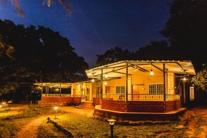 What Makes Dandeli Jungle Resorts a Unique Stay Option?