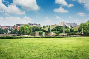5 Ways to Use Green Spaces for Mental Health