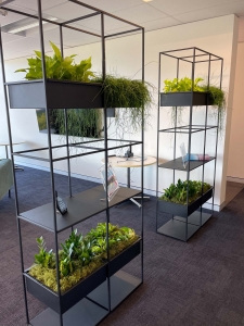 Transform Your Space with Indoor Plant Hire in Sydney
