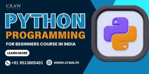 Learn Python Programming for Beginners Course in India