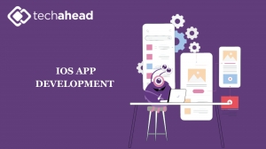 Maximizing Your ROI with the Right iOS Development Company 
