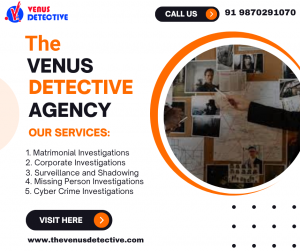 Finding the Truth with the Top Private Detective Agency in Noida