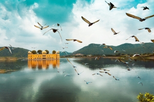 Cultural Travel Guide to Rajasthan
