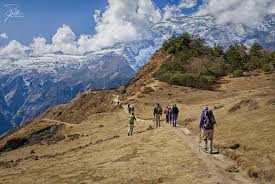 Mardi Himal Trek vs. Langtang Valley Trek with Nepal Base Camp Treks: Which Himalayan Experience Should You Choose?