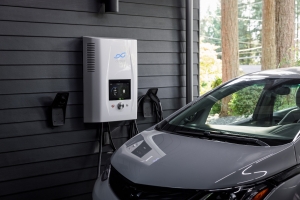 How Can Electric Vehicles Help Halt Global Warming?