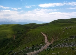 Raithal Village Travel Guide: Nature, Culture, and Trekking Bliss