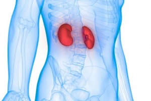 What Are the Risks Involved in a Heart and Kidney Transplant?