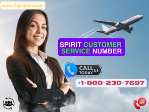Live Support - How do I Speak to a Representative at Spirit Airlines?