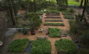 Durable Landscaping with Hardwood Sleepers and Timber Solutions