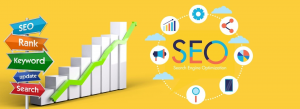 Local SEO Services That Help Small Businesses Compete with Giants