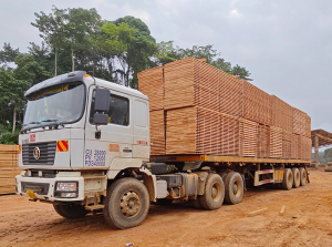 Unlocking the Versatility of Okoume Wood: Properties, Uses, and Advantages