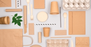 How to Use Bagasse for Sustainable Packaging