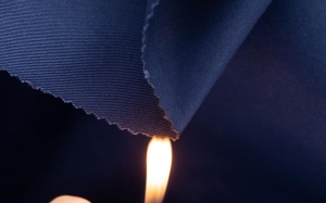 Dynamic Insights into the Global Flame Retardant Market