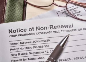 Notice of Cancellation Insurance and Reinstatement
