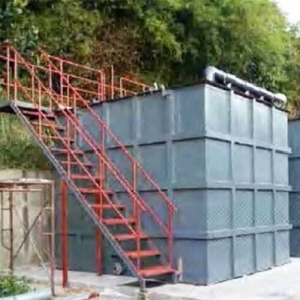  STP Plant