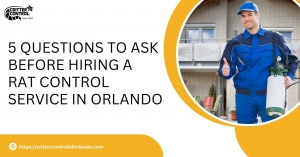 5 Questions to Ask Before Hiring a Rat Control Service in Orlando