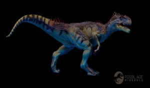 What Do Fossils Tell Us About Different Kinds of Dinosaurs?