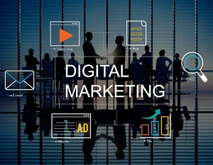 Reliable SEO Services in Bangalore by Technians