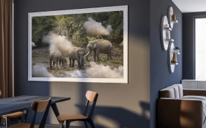 Wall Decoration Ideas for Living Room Using Photography Prints