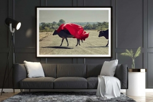 What is fine art photography?