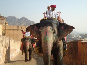 How to Plan a Theme-Based Rajasthan Tour