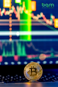 Transforming Crypto Trading with Advanced Algo Solutions: Blockchain Development Company in Texas