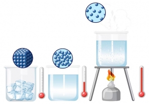 Creative Experiments to Explore Surface Tension: Bringing Science to Life in the Lab