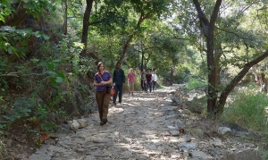 Hidden Trails of Rajasthan: Offbeat Treks for the Curious Explorer
