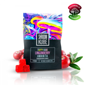What to Expect from 10mg THC Gummies: A Beginner’s Guide