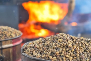 Ready to Improve Cashew Quality? Start with a Smarter Cashew Cooking System