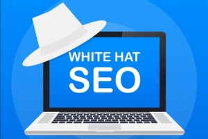 High-Quality White Hat SEO Backlink Service for Top Google Rankings