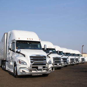 Understanding Transportation and Logistics: The Backbone of Modern Commerce