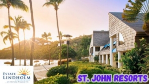 Find the Places to Stay in St. John