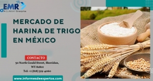 Mercado de Harina de Trigo en México Impulsa el Sector Alimentario