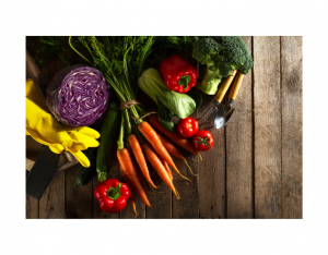 MrFreshVeggiee: Redefining Online Grocery Shopping with the Best Online Grocery Shopping Experience