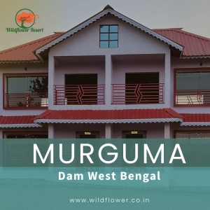 A Soulful Retreat into Nature: Experiencing the Charm of Murguma Eco Hut