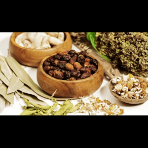 Top 7 Ayurvedic Herbs for Everyday Wellness