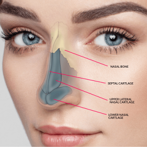 Safe, Customized Nose Reshaping Procedures in Riyadh