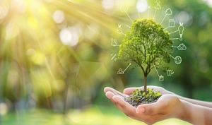 Self Directed IRA Rules You Must Know Before Investing