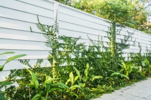 How Fencing Can Reduce Noise and Create a More Peaceful Home Environment
