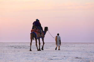 Discover the Spectacular: Best Places to Visit in Kutch