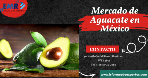 Crecimiento del Mercado de Aguacate en México