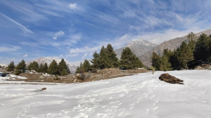 Harsil Valley Weather and Temperature: A Month-Wise Travel Guide