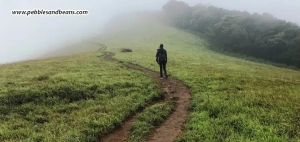 Sakleshpur – The Ultimate Adventure Escape For Thrill Seekers