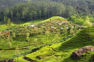 Sikkim: The 100% Organic State of India