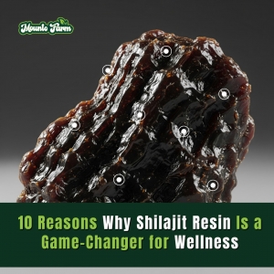 10 Reasons Why Shilajit Resin Is a Game-Changer for Wellne